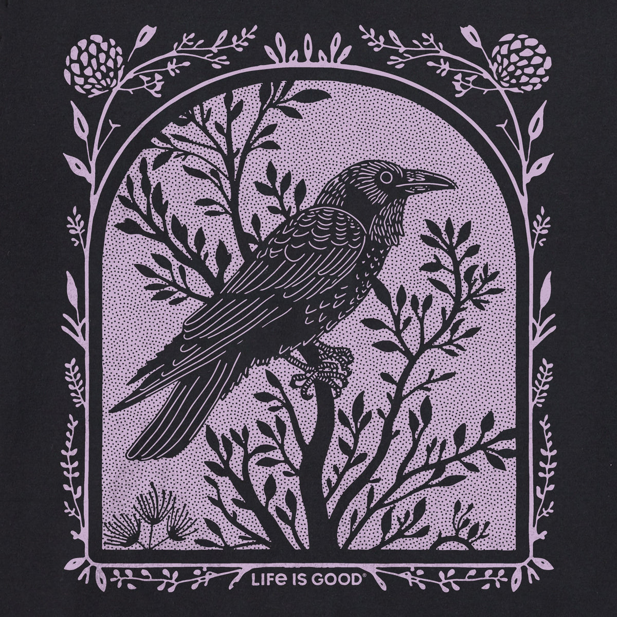 Women's Lone Raven Short Sleeve Crusher Boxy Tee product image 2