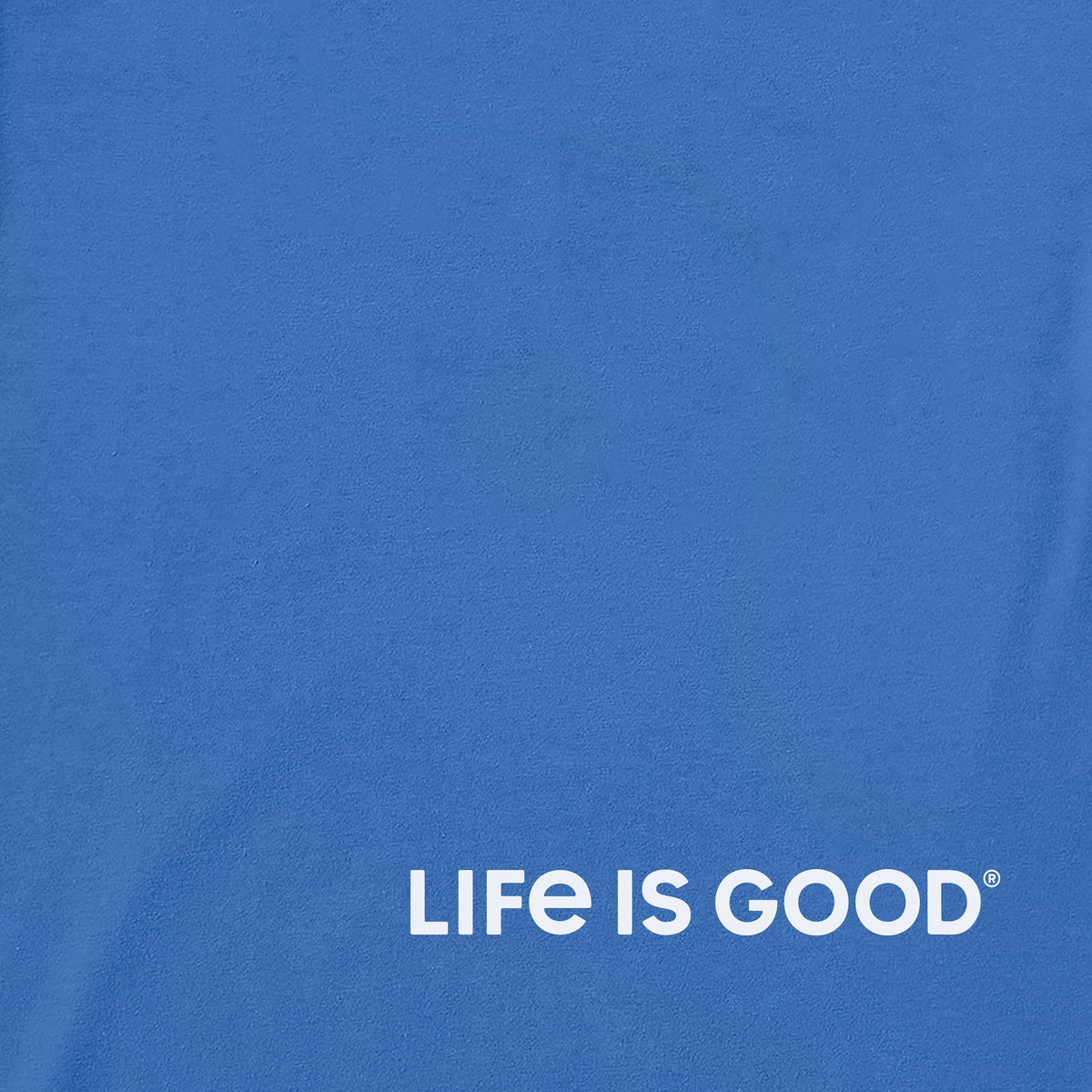 Men's LIG Dragon Short Sleeve Crusher Tee product image 3