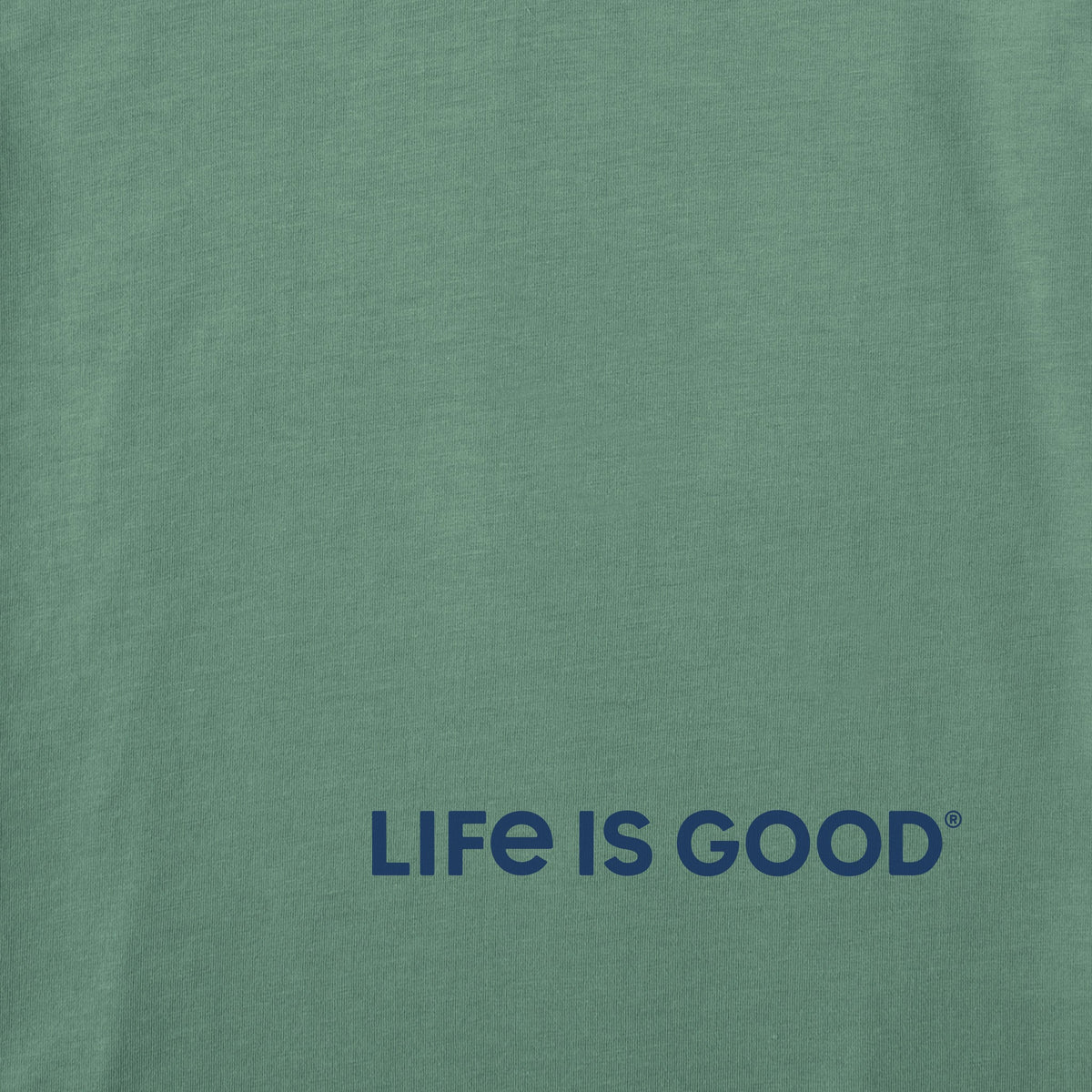 Men's LIG Dragon Short Sleeve Crusher Tee product image 9