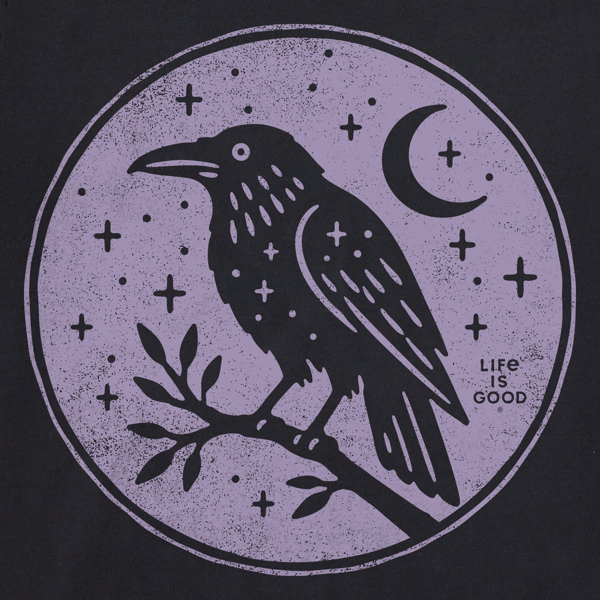 Men's Raven Coin Short Sleeve Crusher Tee product image 2