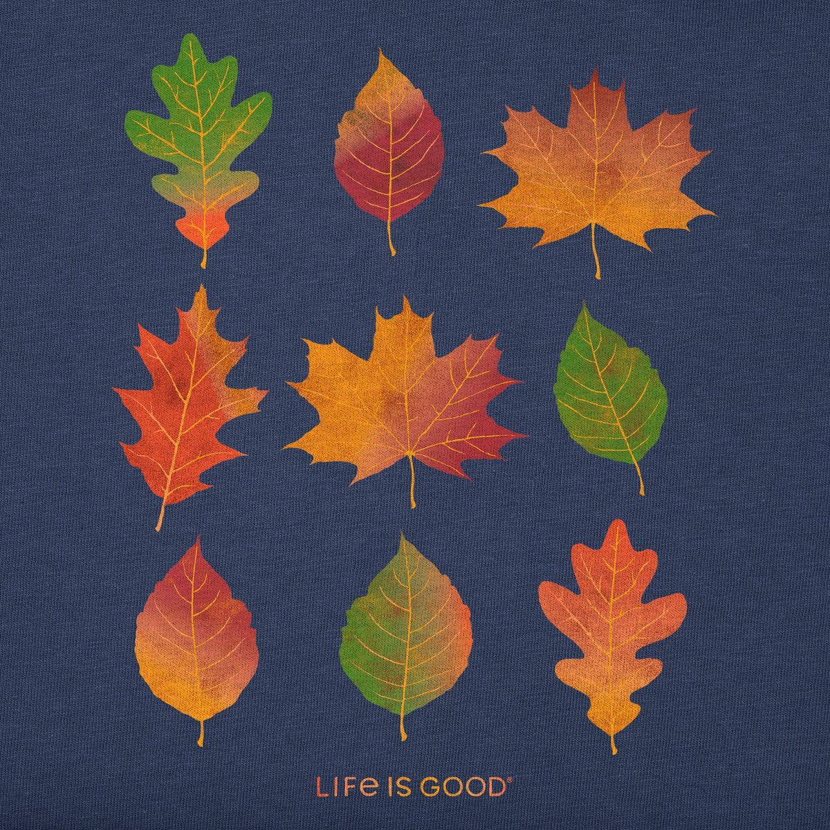 Women's Nine Fall Leaves Short Sleeve Crusher Tee product image 2