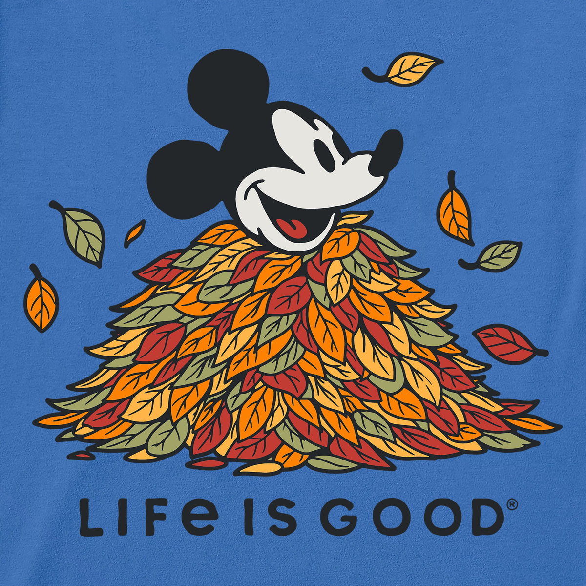 Toddler Leaf Pile Willie Short Sleeve Crusher Tee product image 2