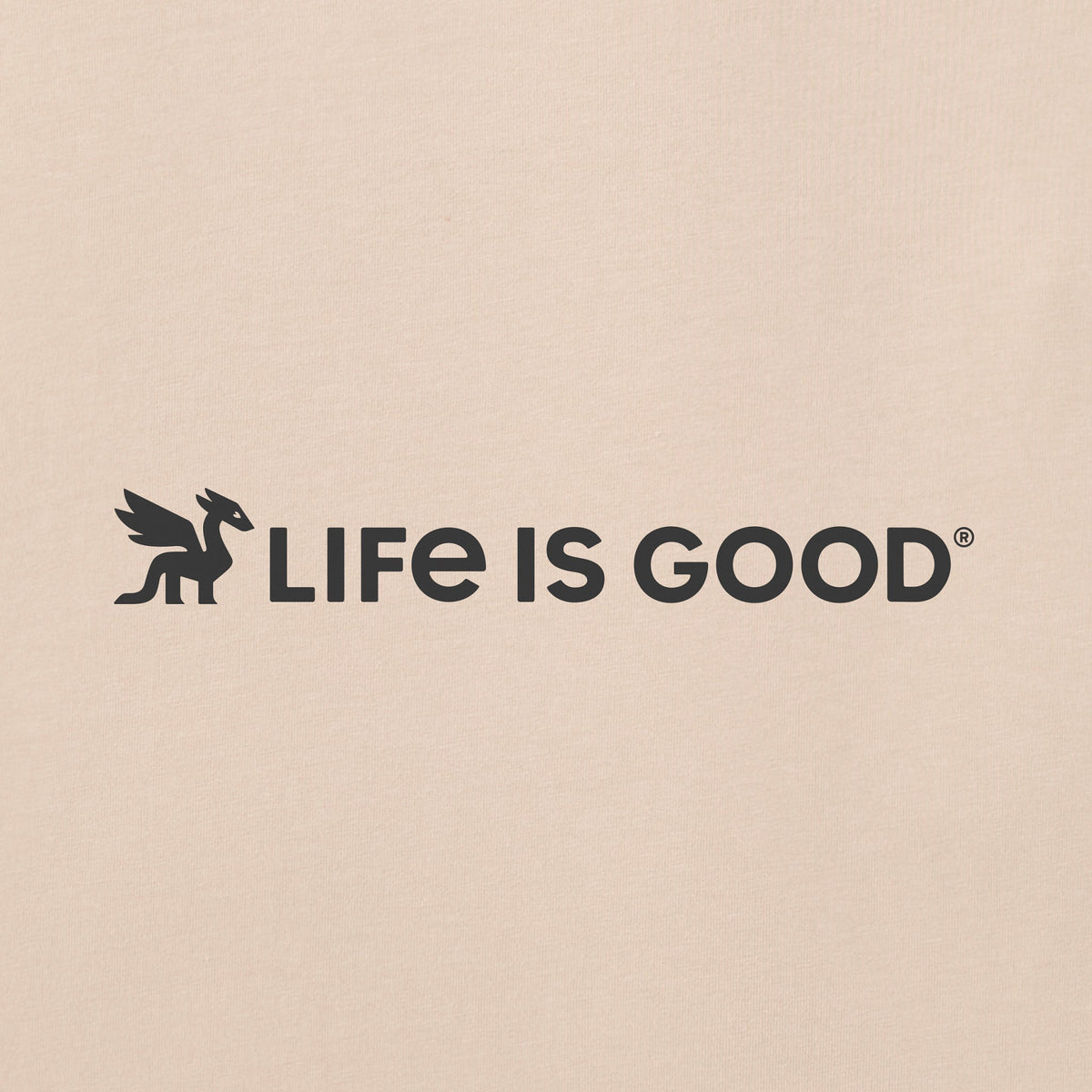 Men's Life is Good Dragon Short Sleeve Crusher Tee product image 6