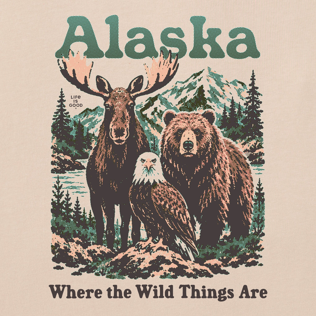 Women's Alaska Wild Things Short Sleeve Crusher Boxy Tee product image 2