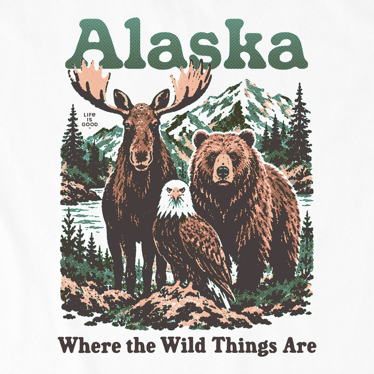 Kids Alaska Wild Things Short Sleeve Crusher Tee product image 2