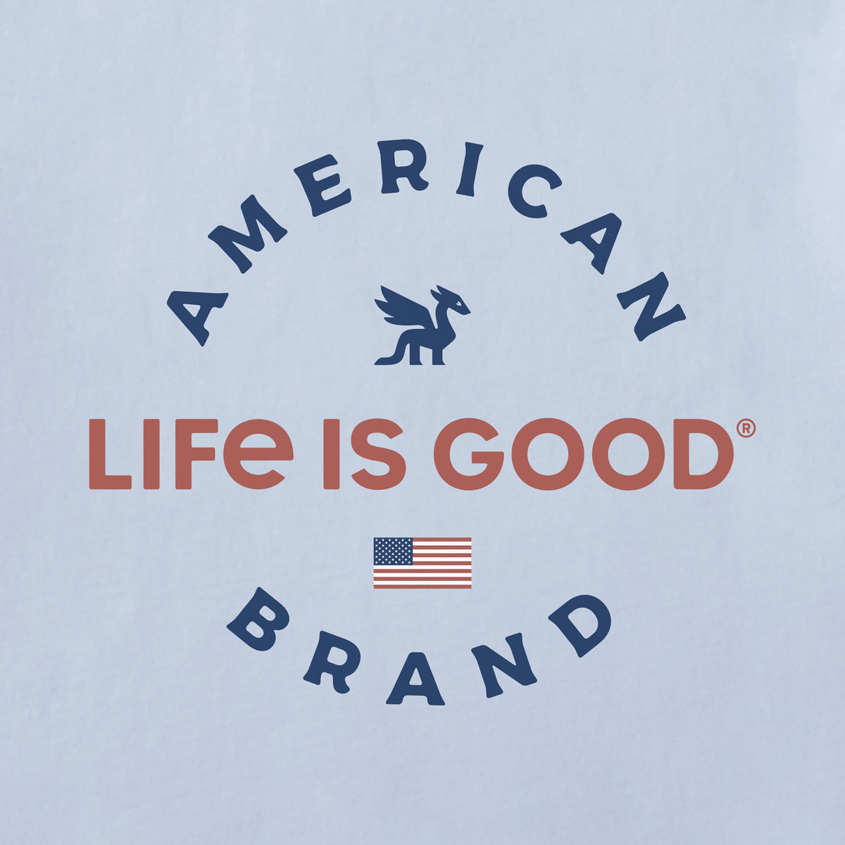 Kids Dragon American Brand Short Sleeve Crusher Tee product image 2