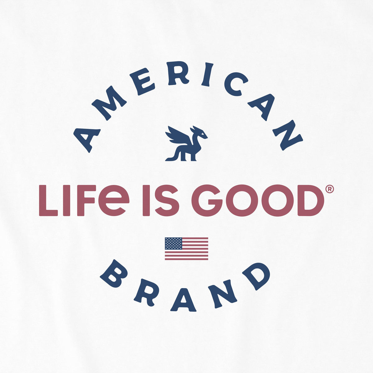 Kids Dragon American Brand Short Sleeve Crusher Tee product image 5