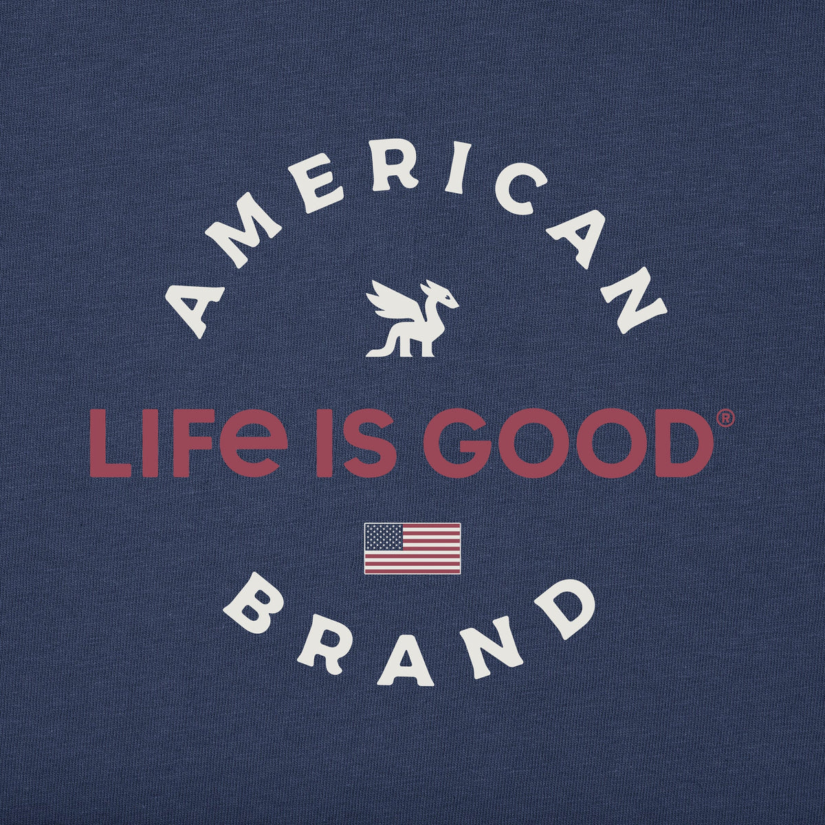 Kids Dragon American Brand Short Sleeve Crusher Tee product image 8