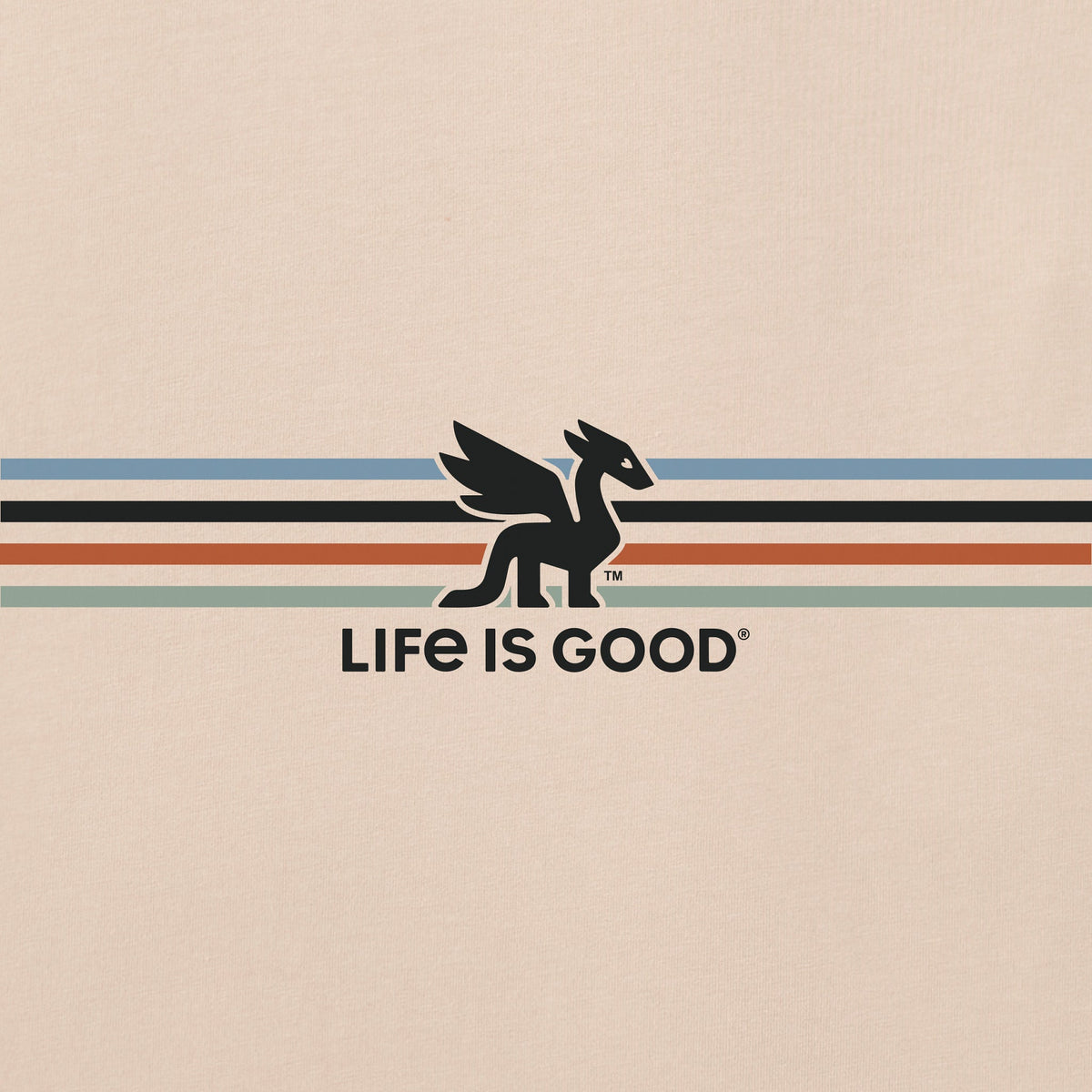 Men's Dragon Stripes Short Sleeve Crusher Tee product image 2