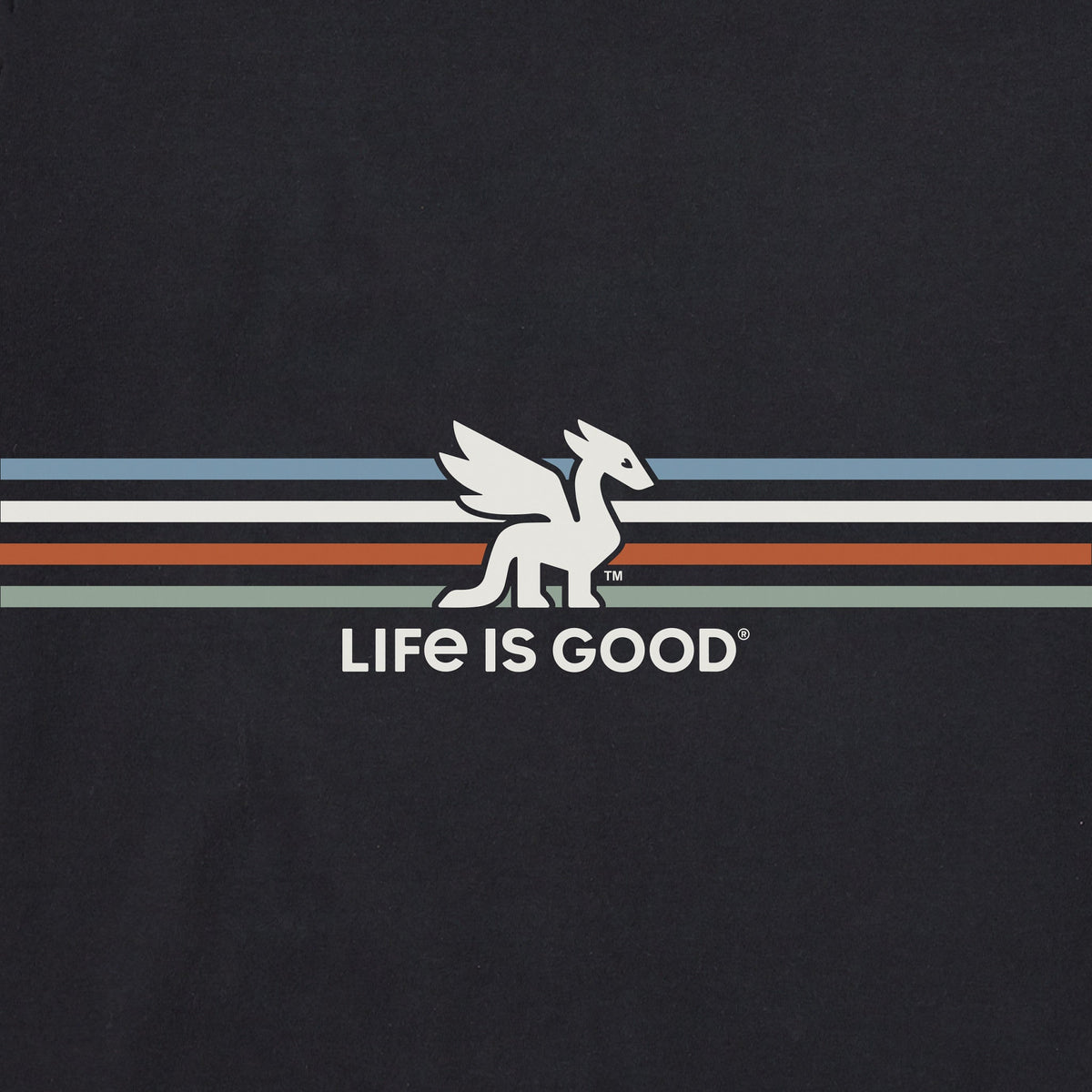 Men's Dragon Stripes Short Sleeve Crusher Tee product image 4